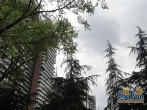 万科金域西岭2室2厅东南