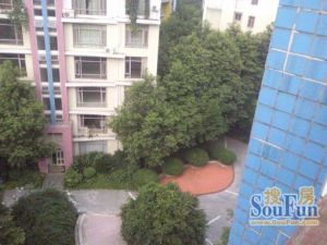 森宇音乐花园 3室1厅 东南