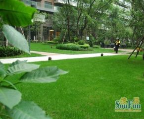 万科金域西岭2室2厅西北北