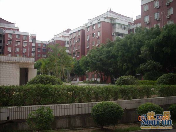 小区相关图