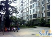 丰尚玉林商务港1室0厅西南