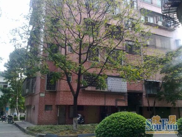 南桂东路小区实景图