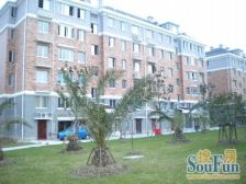 新南家园一期,优质户型、精装修,优质户型