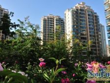 海关地铁口,吾悦广场旁边大三室电梯房优质房源