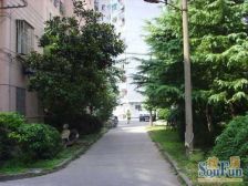 杨家桥小区(普陀) 3室2厅 南 北