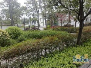首座1室1厅西