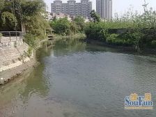 春天大道 3室2厅 东