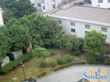 凤凰楼层,电梯大两房,2轨交汇,商圈成熟