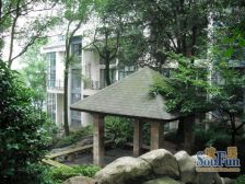 纯南山天然氧吧看江别墅,可装电梯直通车库,无遮挡