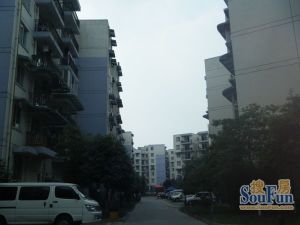 新光社区文景苑2室1厅东南南