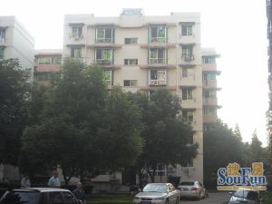 九鼎小区3室1厅东南