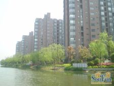 ?杨思前滩+明珠+万科品质精装修+少有一房+满五且为一