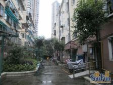 曹家渡内环内大面积一室半房子,采光好,业主诚意出售