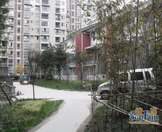 地博随园实景图