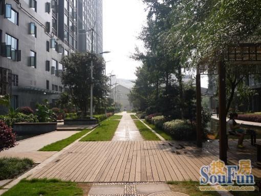  ��������1��1���ϱ�����6000.00Ԫ/�³��� 