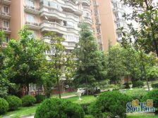 曹杨新苑 3室2厅 南 北