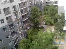 优取舍3室1厅东南