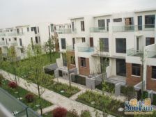 新上花园别墅近D铁 好位置 你值得拥有