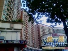 红本在手过五年,看房方便采光好