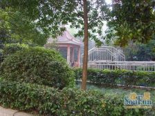 两路老城 春城四季三房93万