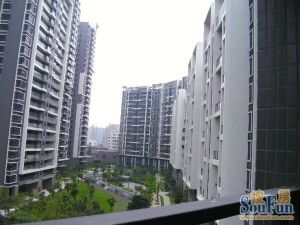九鼎国际城3室2厅南北