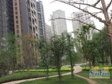 华润凤凰城一期 4室1厅 南