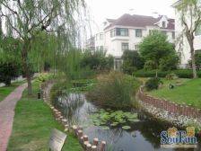 无抵押 采光好 满五 必看好房