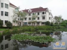 无抵押 采光好 满五 必看好房