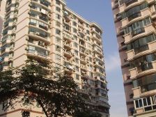 98年一梯两户,运动型楼层,精致一房一厅,已美丽家园