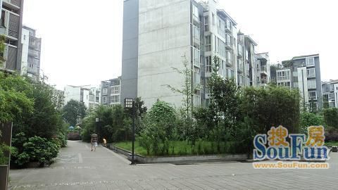 天府江南实景图