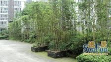 天府江南C区3室1厅南北