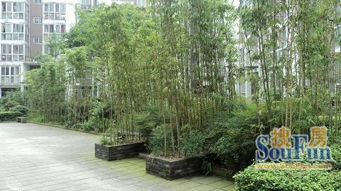 天府江南实景图