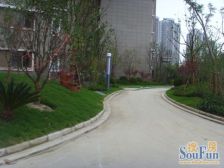 11号线地铁50米 复试朝南 诚意可谈