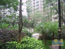 珠江御景湾4室2厅东北