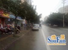 西体路1室1厅东南