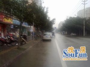 西体路1室1厅东南
