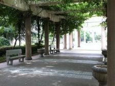 主推优选+带院子+闸北公园+八号线西藏北路站+业主诚售