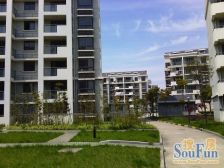 一口价房源 清水毛坯+边套+环境安静+楼间距宽