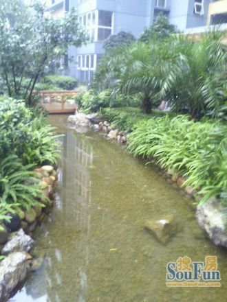 卓锦城四期实景图