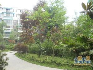 蜀风庭院3室2厅西南