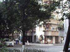 少有梯低层出售,近桂城地块,小区安静,生活配套成熟