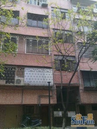 南桂东路小区实景图