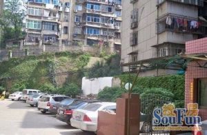 长沙老城区,距离地铁700米,标准复试,三房两厅。