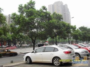 中江丽晶苑2室2厅南东南