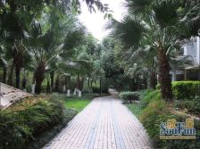 成都花园翠雍华庭 3室1厅 南