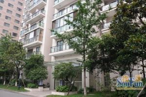 鼓楼世家 2室2厅 西北