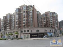 S2沪芦+S3沪奉高速,2南1北大3房,精装修,景观楼层