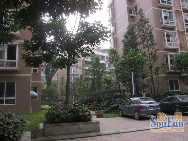 小区相关图