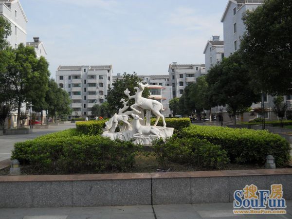 小区相关图