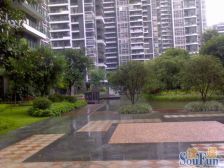 此房满五不唯一 一梯两户 精装修 双阳台